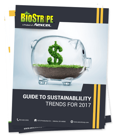 sustainability trends for 2017