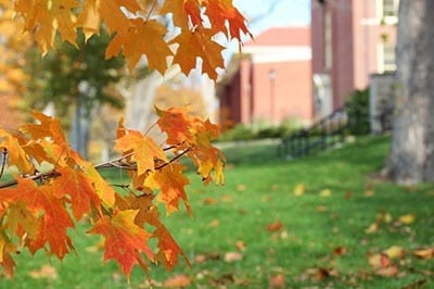 6 Eco-Friendly College Campuses I Aexcel