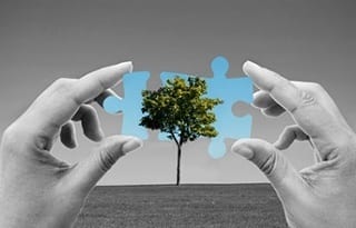 3 Major Sustainability Challenges I Aexcel