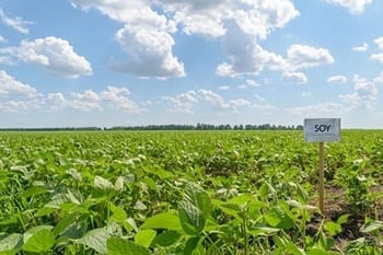 3 Next-Level Sustainable Products |Aexcel