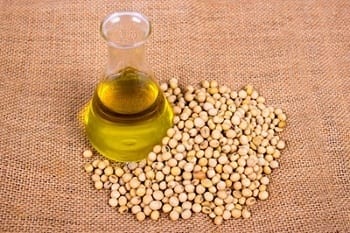 3 Soybean-Based Products Being Used Effectively I Aexcel