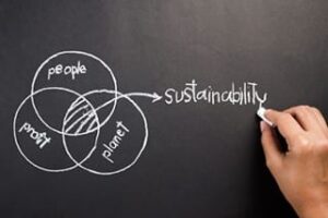5 Ways To Establish A Culture Of Sustainability | Aexcel