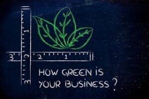 10 Ways To Green Your Business I Aexcel